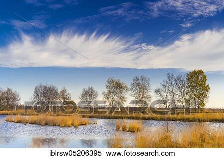 Goldenstedter Moor, Lower Saxony, Germany, Europe View Large Photo Image Stock Photography - Goldenstedter Moor, Lower Saxony, Germany, Europe. Fotosearch