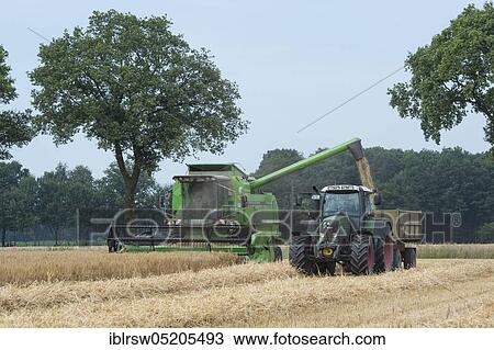 Stock Image - Grain harvest, combine harvester, Oldenburger Münsterland, Lower Saxony, Germany, Europe. Fotosearch