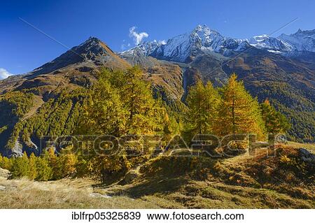 Stock Photo - Grande Dent de Veisivi, Dent de Perroc, Aiguille de la Tsa, Valais, Switzerland, Europe. Fotosearch