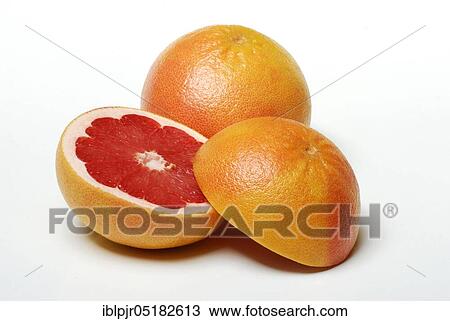 Grapefruit ( Citrus maxima, Citrus x paradisi) View Large Photo Image Stock Image - Grapefruit ( Citrus maxima, Citrus x paradisi). Fotosearch
