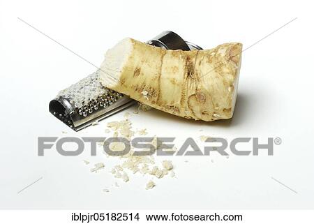 Picture - Grated Horseradish (Armoracia rusticana) horseradish, root with grater. Fotosearch