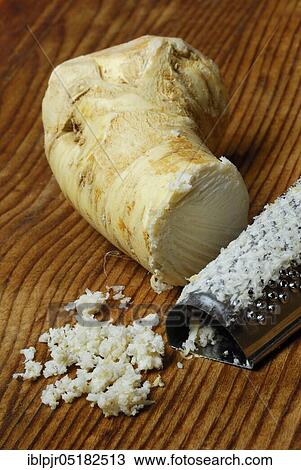 Stock Image - Grated Horseradish (Armoracia rusticana) horseradish, root with grater. Fotosearch