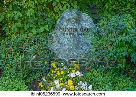 Grave, Günter Gaus, Dorotheenstädtischer cemetery, Chausseestrasse, Mitte, Berlin, Germany, Europe View Large Photo Image Stock Photo - Grave, Günter Gaus, Dorotheenstädtischer cemetery, Chausseestrasse, Mitte, Berlin, Germany, Europe. Fotosearch