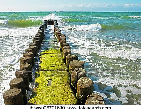 Stock Image - Groynes at the west beach, Baltic Sea near Ahrenshoop, Fischland, Mecklenburg-Western Pomerania, Germany, Europe. Fotosearch