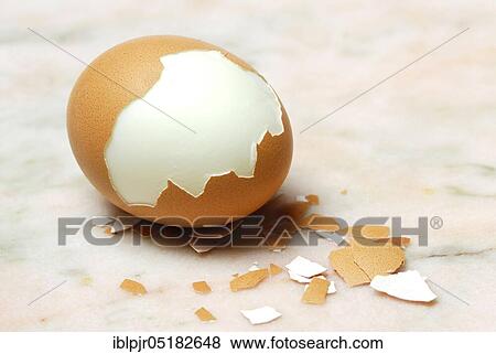 Hard boiled egg, partially peeled, hen's eggs, hen's egg, egg shell, eggshells, cooked View Large Photo Image Stock Photo - Hard boiled egg, partially peeled, hen's eggs, hen's egg, egg shell, eggshells, cooked. Fotosearch