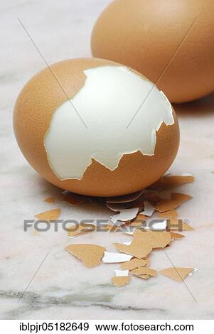 Hard boiled egg, partially peeled, hen's eggs, hen's egg, egg shell, eggshells, cooked View Large Photo Image Stock Photo - Hard boiled egg, partially peeled, hen's eggs, hen's egg, egg shell, eggshells, cooked. Fotosearch