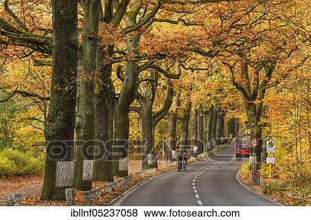 Stock Photo - Havelchaussee, Grunewald, Berlin, Germany, Europe. Fotosearch