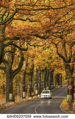 Havelchaussee, Grunewald, Berlin, Germany, Europe View Large Photo Image Stock Photo - Havelchaussee, Grunewald, Berlin, Germany, Europe. Fotosearch