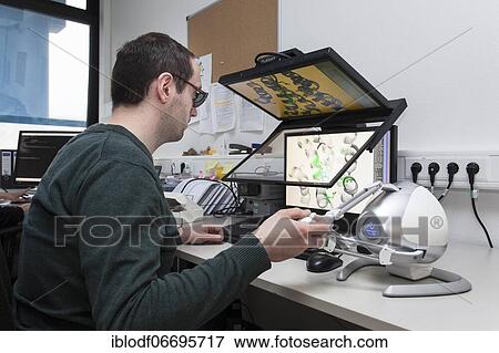 Heinrich-Heine-University, Theoretical Pharmacy Group Prof. Gohlke, PhD student at 3D monitor with 3D mouse, Düsseldorf, Germany, Europe View Large Photo Image Stock Photo - Heinrich-Heine-University, Theoretical Pharmacy Group Prof. Gohlke, PhD student at 3D monitor with 3D mouse, Düsseldorf, Germany, Europe. Fotosearch