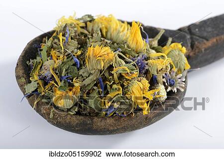 Herbal tea, marigold (Calendula officinalis), lemon balm (Melissa officinalis), elderflower (Sambucus nigra), thyme, lemon verbena (Aloysia citrodora), cornflower (Centaurea cyanus), mallow (Thymus vulgaris) (Malva alcea), K View Large Photo Image Stock Image - Herbal tea, marigold (Calendula officinalis), lemon balm (Melissa officinalis), elderflower (Sambucus nigra), thyme, lemon verbena (Aloysia citrodora), cornflower (Centaurea cyanus), mallow (Thymus vulgaris) (Malva alcea), K. Fotosearch