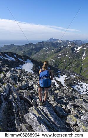 Picture - Hiker, view of mountains and landscape from the top of Rundfjellet, Lofoten, Nordland, Norway, Europe. Fotosearch