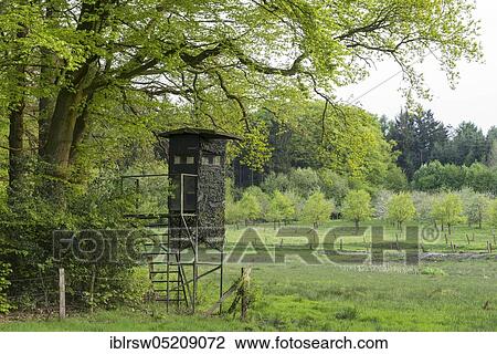 Stock Image - Hochsitz, Nienhauser Talwiesen, Dammer Berge, Vechta District, Oldenburger Münsterland, Lower Saxony, Germany, Europe. Fotosearch