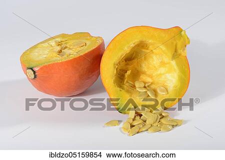 Hokkaido pumpkin, seeds (Cucurbita maxima), pumpkin, pumpkin seeds View Large Photo Image Picture - Hokkaido pumpkin, seeds (Cucurbita maxima), pumpkin, pumpkin seeds. Fotosearch