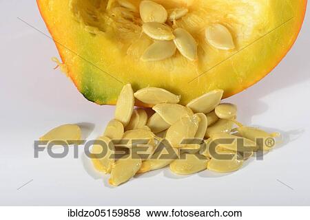 Hokkaido pumpkin, seeds (Cucurbita maxima), pumpkin, pumpkin seeds View Large Photo Image Stock Photo - Hokkaido pumpkin, seeds (Cucurbita maxima), pumpkin, pumpkin seeds. Fotosearch