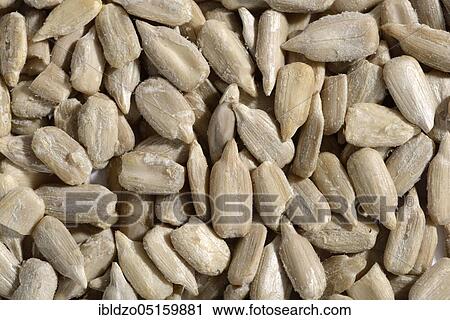 Hulled sunflower seeds (Helianthus annuus), sunflower View Large Photo Image Stock Image - Hulled sunflower seeds (Helianthus annuus), sunflower. Fotosearch