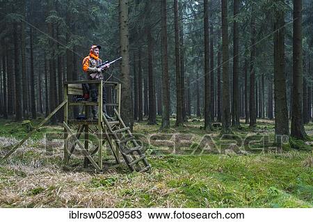 Stock Image - Hunter on high seat, Solling, Lower Saxony, Germany, Europe. Fotosearch