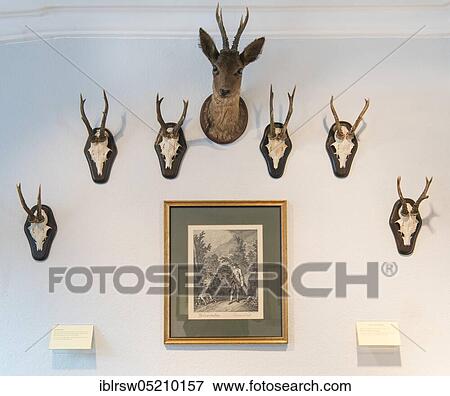 Stock Photo - Hunting lodge Clemenswerth, Sögel, Emsland, Lower Saxony, Germany, Europe. Fotosearch