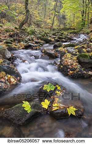 Ilse, Ilsetal, Harz National Park, Saxony-Anhalt, Germany, Europe View Large Photo Image Stock Photo - Ilse, Ilsetal, Harz National Park, Saxony-Anhalt, Germany, Europe. Fotosearch