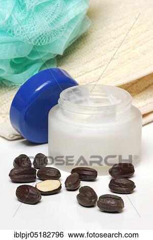 Stock Photograph - Jojoba-Seeds (Simmondsia chinensis) -Ointment. Fotosearch