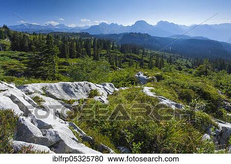 Karst landscape at the Pragelpass, Schwyz, Switzerland, Europe View Large Photo Image Stock Image - Karst landscape at the Pragelpass, Schwyz, Switzerland, Europe. Fotosearch