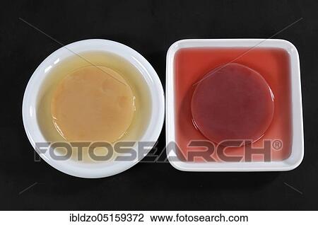 Stock Image - Kombucha, tea mushroom. Fotosearch