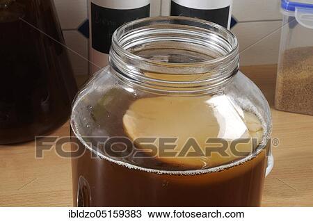 Kombucha, tea mushroom View Large Photo Image Stock Image - Kombucha, tea mushroom. Fotosearch