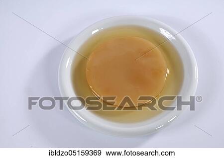 Kombucha, tea mushroom View Large Photo Image Stock Photo - Kombucha, tea mushroom. Fotosearch