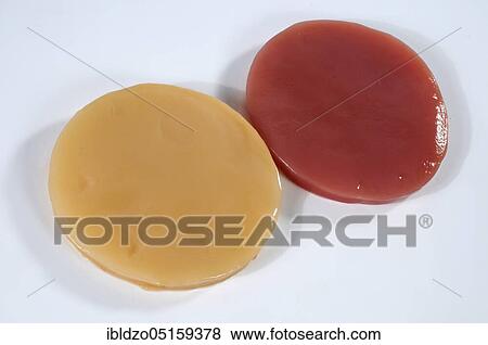 Kombucha, tea mushroom View Large Photo Image Stock Photo - Kombucha, tea mushroom. Fotosearch