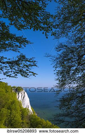 Königsstuhl, Königsstuhl, chalk cliffs, Jasmund National Park, Rügen, Mecklenburg-Vorpommern, Germany, Europe View Large Photo Image Stock Image - Königsstuhl, Königsstuhl, chalk cliffs, Jasmund National Park, Rügen, Mecklenburg-Vorpommern, Germany, Europe. Fotosearch