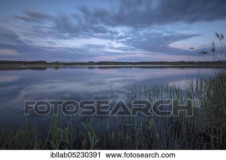 Stock Image - Lake, Lusatia, Saxony, Germany, Europe. Fotosearch