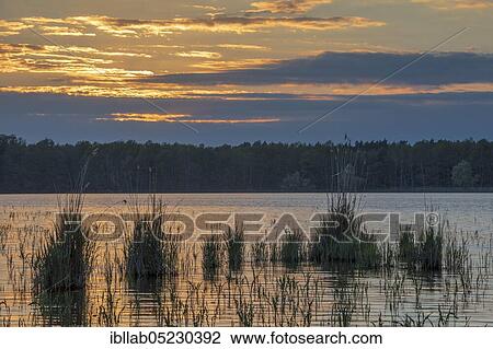 Lake, Lusatia, Saxony, Germany, Europe View Large Photo Image Stock Image - Lake, Lusatia, Saxony, Germany, Europe. Fotosearch