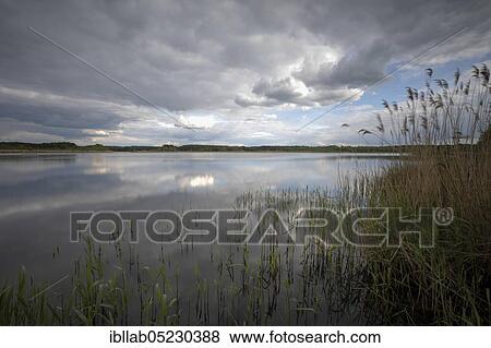 Lake, Lusatia, Saxony, Germany, Europe View Large Photo Image Stock Photo - Lake, Lusatia, Saxony, Germany, Europe. Fotosearch