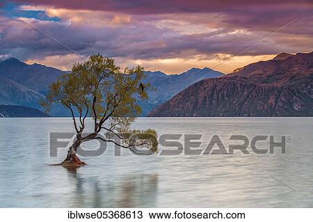 Lake Wanaka, Wanaka, Otago, New Zealand, Oceania View Large Photo Image Stock Image - Lake Wanaka, Wanaka, Otago, New Zealand, Oceania. Fotosearch