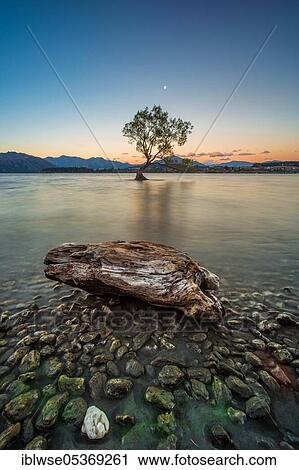 Lake Wanaka, Wanaka, Otago, New Zealand, Oceania View Large Photo Image Stock Image - Lake Wanaka, Wanaka, Otago, New Zealand, Oceania. Fotosearch