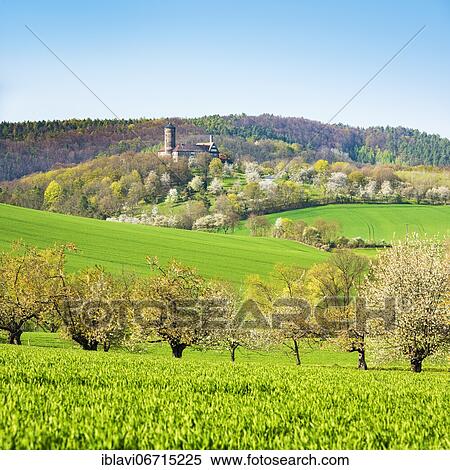 Stock Photography - Landscape in spring with blossoming cherry trees, in the back Ludwigstein Castle, near Witzenhausen, Hesse, Germany, Europe. Fotosearch
