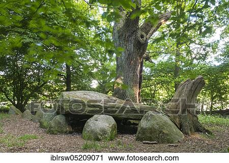 Large stone grave, Heide sacrificial table, ca. 3400 B. C., Baeken of Endeler and Holzhauser Heide, Visbek, Lower Saxony, Germany, Europe View Large Photo Image Stock Image - Large stone grave, Heide sacrificial table, ca. 3400 B. C., Baeken of Endeler and Holzhauser Heide, Visbek, Lower Saxony, Germany, Europe. Fotosearch