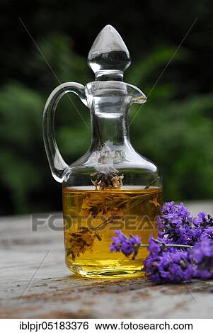 Lavender oil, Lavender oil ( Lavandula angustifolia), Oil View Large Photo Image Stock Photograph - Lavender oil, Lavender oil ( Lavandula angustifolia), Oil. Fotosearch