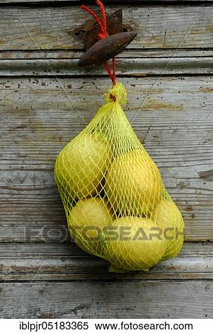 Stock Photography - Lemons in the net ( Citrus limon). Fotosearch