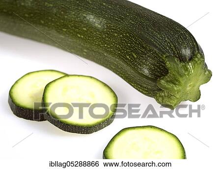 LONG CURGETTE OR CUCCHINI (cucurbita pepo), free-standing View Large Photo Image Stock Photograph - LONG CURGETTE OR CUCCHINI (cucurbita pepo), free-standing. Fotosearch