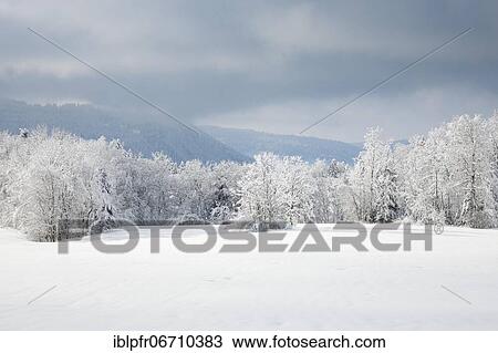 Stock Image - Lost landscape in Oberäger, Canton Zug Switzerland. Fotosearch