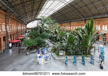 Madrid Atocha Renfe Station, Madrid, Spain, Europe View Large Photo Image Stock Image - Madrid Atocha Renfe Station, Madrid, Spain, Europe. Fotosearch
