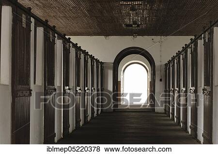 Main stallion stable, Czolowa, stable alley, Arabian Stud Janow Podlaski, Poland, Europe View Large Photo Image Stock Photo - Main stallion stable, Czolowa, stable alley, Arabian Stud Janow Podlaski, Poland, Europe. Fotosearch
