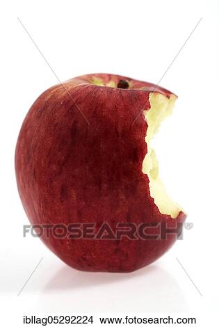 Malus domestica, cultivated apple (Malus domestica), apple, apples, rose family, Royal Gala Apple, malus domestica exempt, cultivated apple, apple, apples, rose family, Royal Gala Apple, malus domestica exempt View Large Photo Image Picture - Malus domestica, cultivated apple (Malus domestica), apple, apples, rose family, Royal Gala Apple, malus domestica exempt, cultivated apple, apple, apples, rose family, Royal Gala Apple, malus domestica exempt. Fotosearch