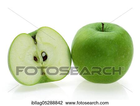 Malus domestica, cultivated apple (Malus domestica), apple, apples, free variety View Large Photo Image Stock Image - Malus domestica, cultivated apple (Malus domestica), apple, apples, free variety. Fotosearch