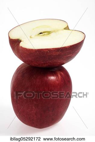 Malus domestica, cultivated apple (Malus domestica), apple, apples, rosaceae, royal gala, free-standing View Large Photo Image Stock Image - Malus domestica, cultivated apple (Malus domestica), apple, apples, rosaceae, royal gala, free-standing. Fotosearch