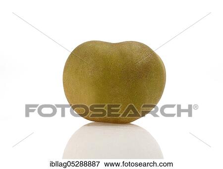 Malus domestica, cultivated apple (Malus domestica), apple, apples, rose family, Canada Apple, malus domestica exempt, cultivated apple, apple, apples, rose family, Canada Apple, malus domestica exempt View Large Photo Image Stock Photo - Malus domestica, cultivated apple (Malus domestica), apple, apples, rose family, Canada Apple, malus domestica exempt, cultivated apple, apple, apples, rose family, Canada Apple, malus domestica exempt. Fotosearch
