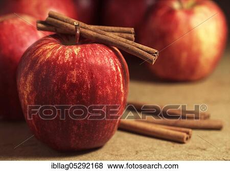 Malus domestica, cultivated apple (Malus domestica) with cinnamon stick, apple, apples View Large Photo Image Stock Photo - Malus domestica, cultivated apple (Malus domestica) with cinnamon stick, apple, apples. Fotosearch