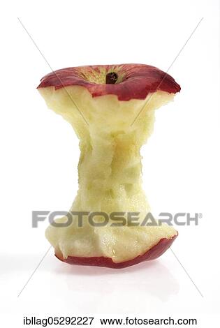 Stock Photo - Malus domestica, cultivated apple (Malus domestica), apple, apples, rose family, royal gala apple, malus domestica, core exempt, cultivated apple, apple, apples, rose family, royal gala apple, malus domestica, core exempt. Fotosearch