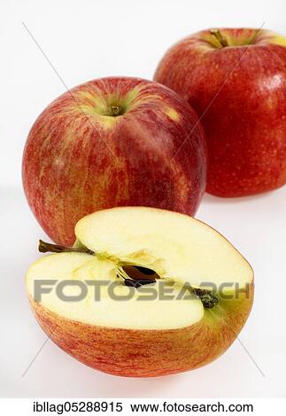Stock Photography - Malus domestica, cultivated apple (Malus domestica), apple, apples, rose family, Royal Gala Apple, malus domestic, cultivated apple, apple, apples, rose family, Royal Gala Apple, malus domestica. Fotosearch