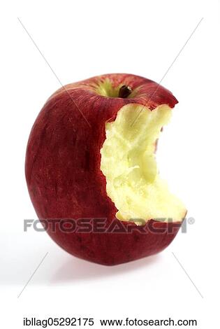Malus domestica, cultivated apple (Malus domestica), apple, apples, bitten View Large Photo Image Stock Photography - Malus domestica, cultivated apple (Malus domestica), apple, apples, bitten. Fotosearch